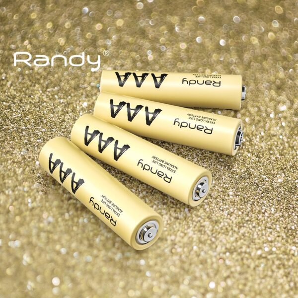 [2แถม1แผง]Randy Alkaline Battery ถ่าน อัลคาไลน์AAA แบตเตอรี่ ความจุสูง ถ่าน วิทยุ ของเล่น ไฟฉาย นาฬิกา เมาส์ไร้สาย รีโมท