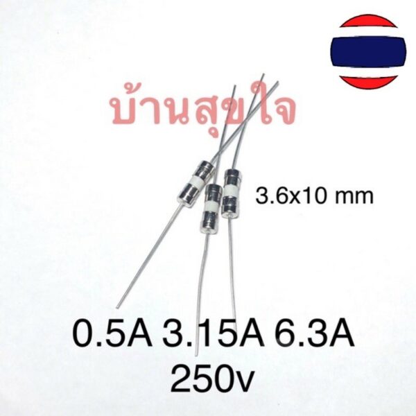 2Pcs ฟิวส์ ขาดช้า หางหนู เซรามิค 2 ขา Ceramic slow delay T0.5A - T5A 250V fuse with line 3.6 x 10mm Slow Blow 3.6x10