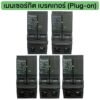 เมนเซอร์กิต เบรคเกอร์ ปลั๊กออน 2P Main Circuit Breaker Plug-on 10kA