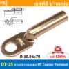 [ 2ชิ้น ] DT-35 หางปลาทองแดง DT Copper Terminal หางปลาเข้าสายไฟ Cable Lug Copper หางปลาสายแบตเตอรี่ Battery Terminal ...