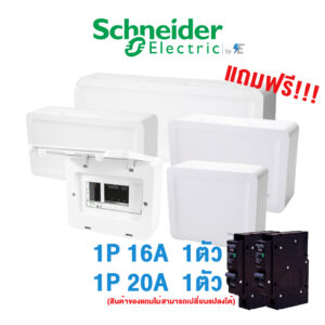 Schneider ตู้ คอนซูเมอร์ยูนิตสแควร์ดี รุ่น SDEL 4