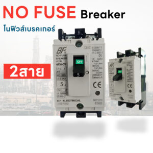 BF โนฟิวส์ เบรกเกอร์ 2 สาย NF-CW 20A/30A/32A/40A/50A/63A/100A/125A