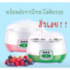 เครื่องทำโยเกิร์ตสำหรับทุกคนในครอบครัว