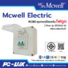 Mcwell Electric กันดูด RCBO 2Pole รุ่น DZ30LE-63 พร้อมกล่องกันน้ำ ป้องกันไฟช็อต ไฟเกิน/ไฟดูด/ไฟรั่ว