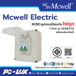 Mcwell Electric กันดูด RCBO 2Pole รุ่น DZ30LE-63 พร้อมกล่องกันน้ำ ป้องกันไฟช็อต ไฟเกิน/ไฟดูด/ไฟรั่ว