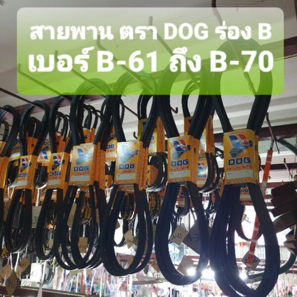 สายพาน ตรา DOG ร่องB  เบอร์ B-61 ถึง B-70