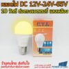 แสงเหลือง หลอดไฟ DC 12V-24V-65V 10วัตต์ ขั้วE27 ในหลอดเดียวกัน ต่อตรงกับแบตได้เลย ร้าน power.intown สามารถออกใบกำกับภ...