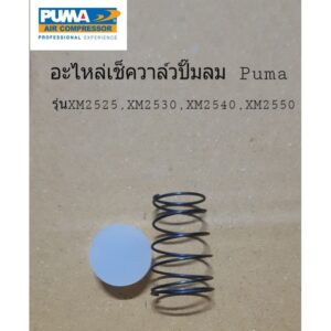 อะไหล่เช็ควาล์ว ชุดซ่อมเช็ควาล์ว Puma XM2525-XM2550