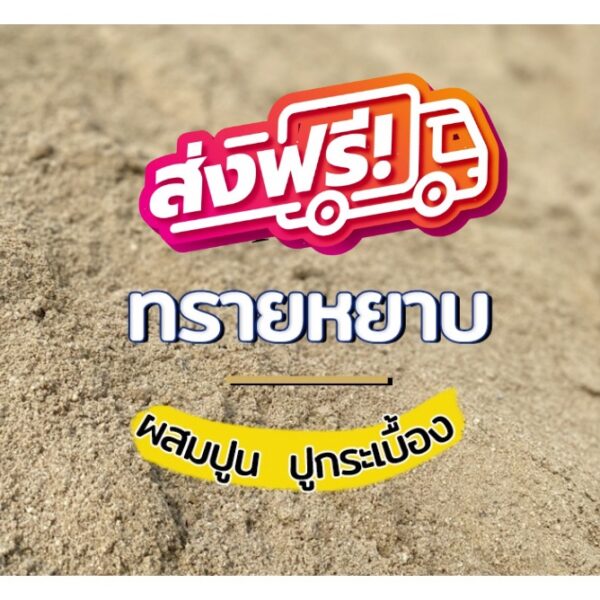 ส่งฟรีถึงบ้าน ทรายหยาบ ใช้ผสมปูน เทพื้น งานก่อสร้าง (เลือกขนาดได้ 1-20 กิโลกรัม) ส่งฟรีทั่วประเทศ