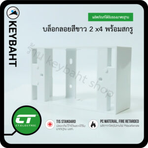 CT บล็อกลอย 2x4 สีขาว แพ็ค10 แพ็ค50 และยกลัง100ตัว